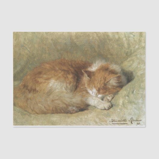 Een slaapkat van Henriette Ronner-Knip Tissuepapier (Voorkant)
