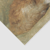 Een slaapkat van Henriette Ronner-Knip Tissuepapier (Detail)