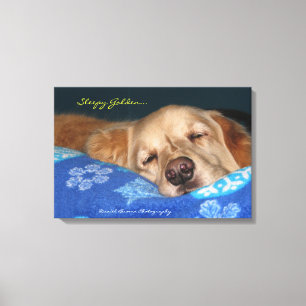 Een Slapy Golden Retriever Canvas Afdruk