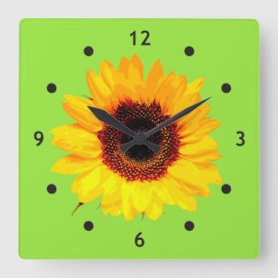 Een slechts Bloesem van de Zonnebloem + uw tekst & Vierkante Klok
