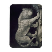 Een slingertijger (potlood op papier) magneet (Verticaal)