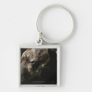 Een slopende hond sleutelhanger
