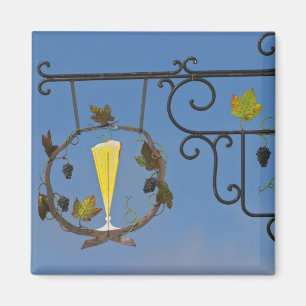 Een smeedijzeren bord dat het thema illustreert magneet