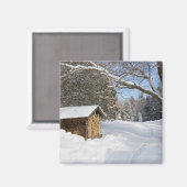 Een sneeuwscène op de kleine Lyford Pond van de AM Magneet (Voorkant / Achterkant)