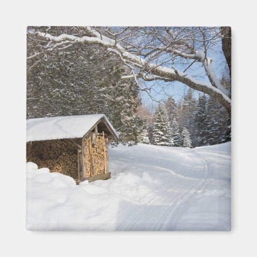 Een sneeuwscène op de kleine Lyford Pond van de AM Magneet (Voorkant)