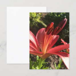 Een "Solid Red Flower"-kaart van Z Bedankkaart