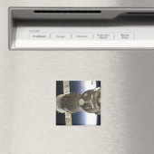 Een Soyuz ruimteschip dat door de Aarde is terugge Magneet (Insitu (Vaatwasser))