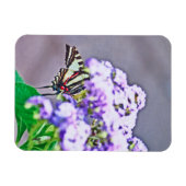 Een spelletje verbergen en zoeken magneet (Horizontaal)