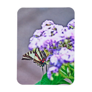 Een spelletje verbergen en zoeken magneet