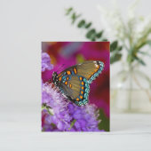 Een Spicebush Swallowtail Butterfly Briefkaart (Staand voorkant)