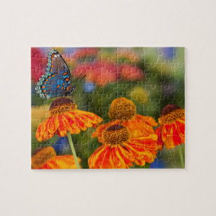 Een Spicebush Swallowtail, Papilio troilus Legpuzzel