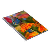 Een Spicebush Swallowtail, Papilio troilus Notitieboek (Rechterzijde)