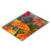 Een Spicebush Swallowtail, Papilio troilus Notitieboek (Linkerzijde)