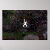 Een Spiders Web Poster (Voorkant)
