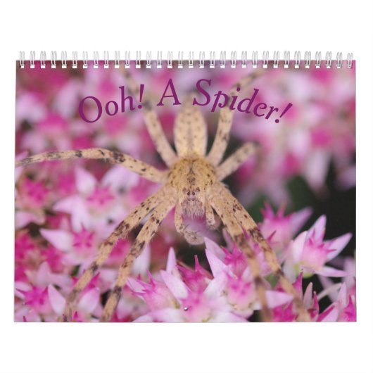 Een spin. Agenda Kalender (Hoes)