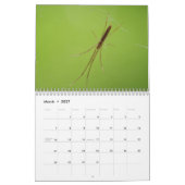 Een spin. Agenda Kalender (Mar 2027)