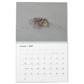 Een spin. Agenda Kalender (Jan 2027)