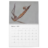 Een spin. Agenda Kalender (Feb 2027)