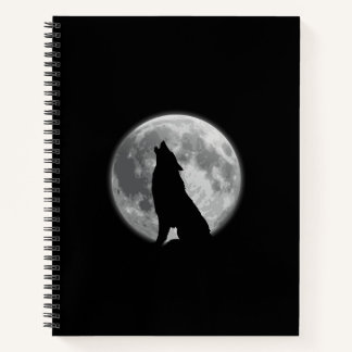 Een spiraal Notitieboek voor dromers.