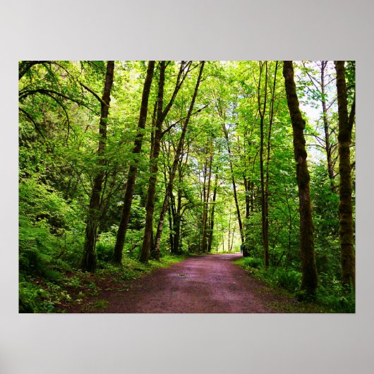 Een spoor in de Bossen Poster (Voorkant)