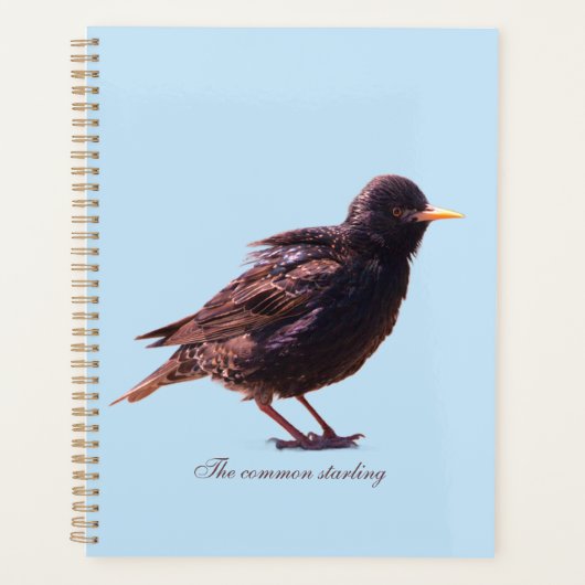 Een spreeuw planner (Voorkant)