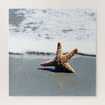 Eén Starfish gewassen Ashore