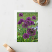 Een stel Alliums- Notitiekaartje (Voorkant / Achterkant in situ)