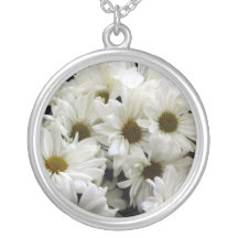 Een stel Daisies