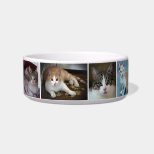 Een Stel Kittens Voerbakje