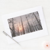 Een Sticker van de Dream van de Winternacht (Envelop)