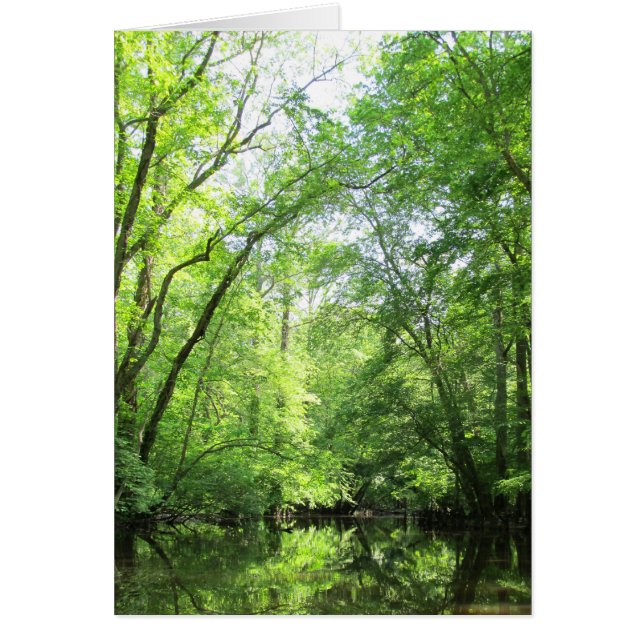 Een stille Kreek (Voorkant)