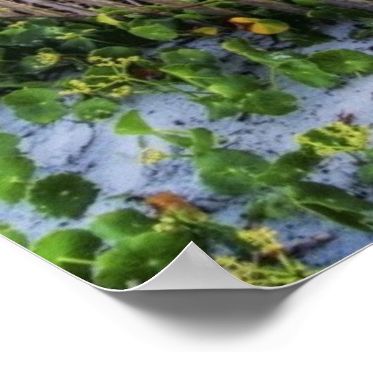 Een strand omheining bij zonsondergang poster (Hoek)