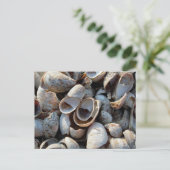 Een strand van het Briefkaart van de Schalen (Staand voorkant)