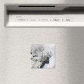 Een streng storm magneet (Insitu (Vaatwasser))