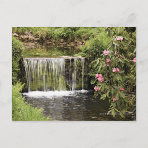 Een stroom en waterval in het natuurpark Dartmoor Briefkaart