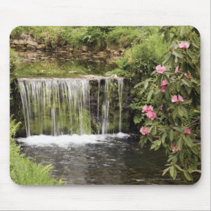 Een stroom en waterval in het natuurpark Dartmoor Muismat