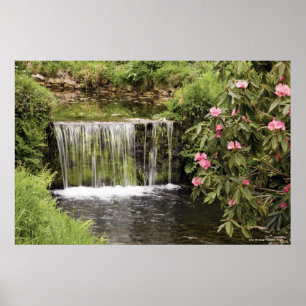 Een stroom en waterval in het natuurpark Dartmoor Poster