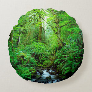 Een stroom in een oerbos rond kussen