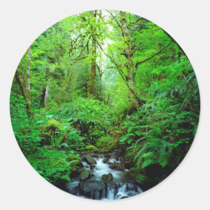 Een stroom in een oerbos ronde sticker