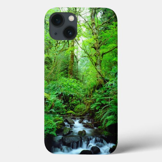 Een stroom in een oud-groeibos Case-Mate iPhone case (Achterkant)
