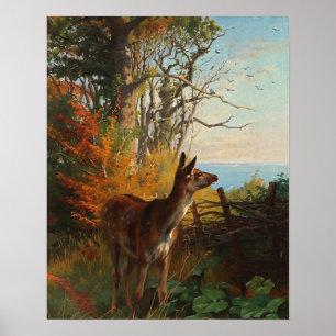 Een stuiter in het bos poster