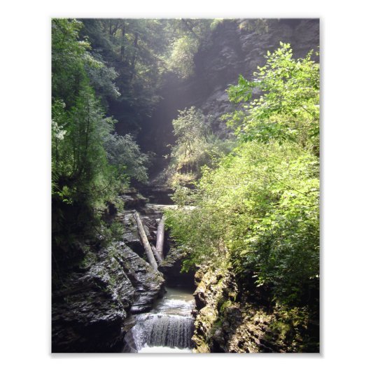 ÉÉN SUMMER-DAG IN DE LEN. NR. 2 FOTO 2011 AFDRUK (Voorkant)