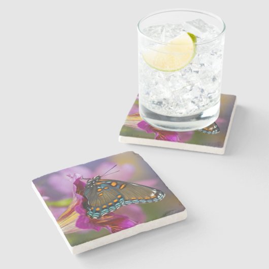 Een Swallowtail Butterfly Stenen Onderzetter (Zijkant)