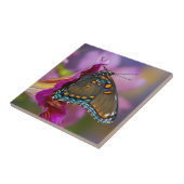 Een Swallowtail Butterfly Tegeltje (Zijkant)