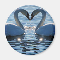 Een Swan Heart Kiss, Reflections of Love