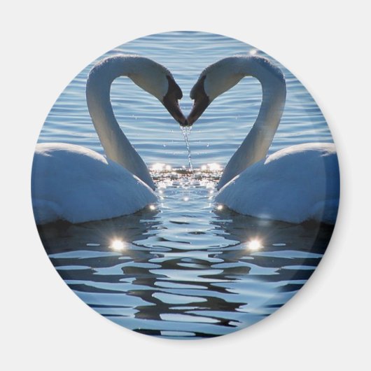 Een Swan Heart Kiss, Reflections of Love Magneet (Voorkant)