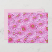 Een symfonie van Pink Gerberas, Briefkaart (Voorkant / Achterkant)