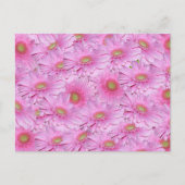 Een symfonie van Pink Gerberas, Briefkaart (Voorkant)