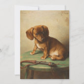 Een teckel puppy | Carl Reichert (Voorkant)