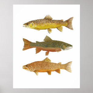 Een tijger maken poster